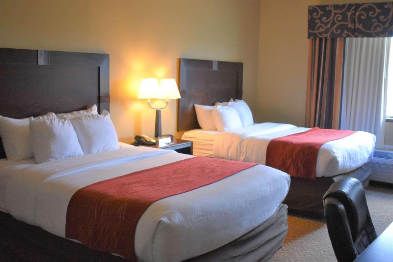 Comfort Inn & Suites Near Lake Guntersville image