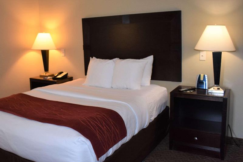 Comfort Inn & Suites Near Lake Guntersville image