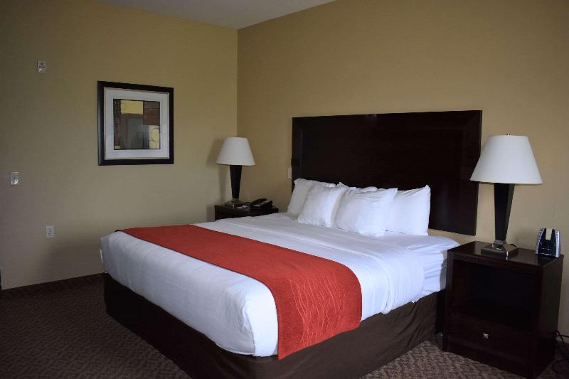Comfort Inn & Suites Near Lake Guntersville image
