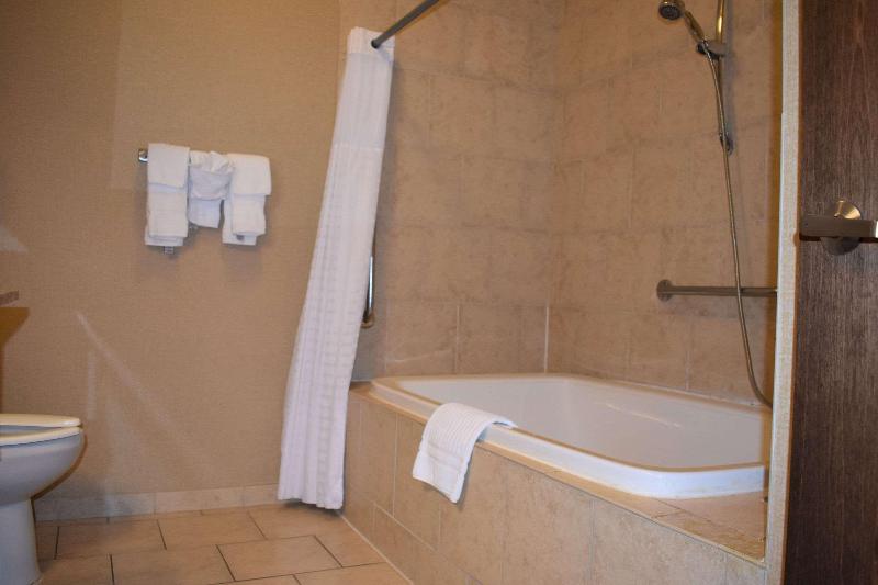 Comfort Inn & Suites Near Lake Guntersville image