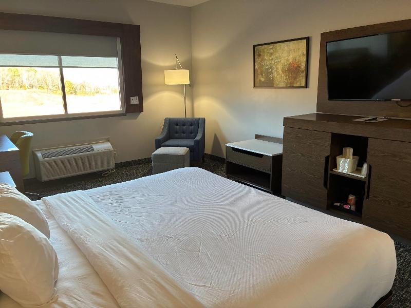 Comfort Inn & Suites Near Lake Guntersville image