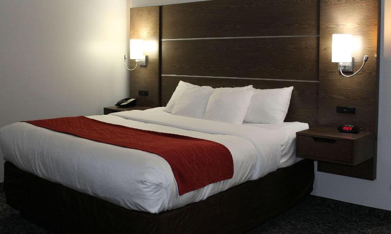 Comfort Inn & Suites Near Lake Guntersville image