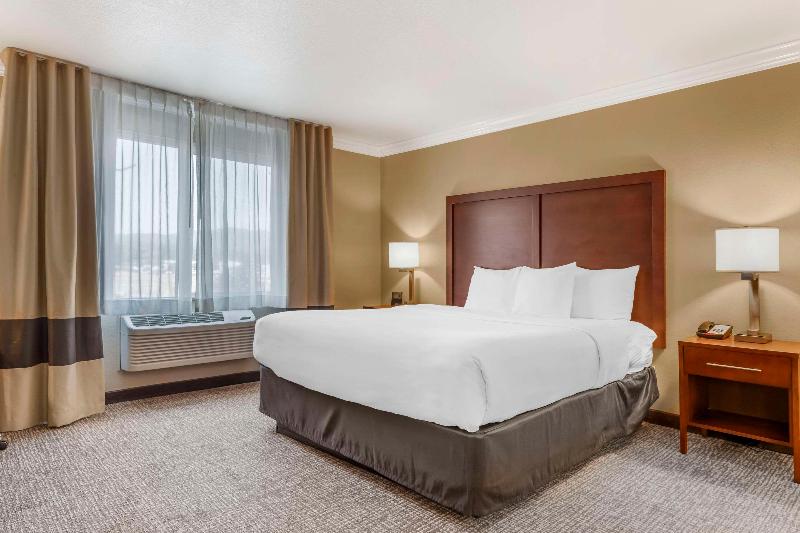 Comfort Inn & Suites Redwood Country image
