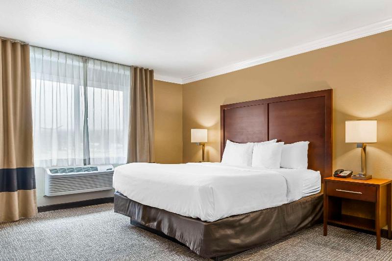 Comfort Inn & Suites Redwood Country image