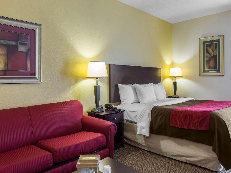 Comfort Inn & Suites Thomson Area image