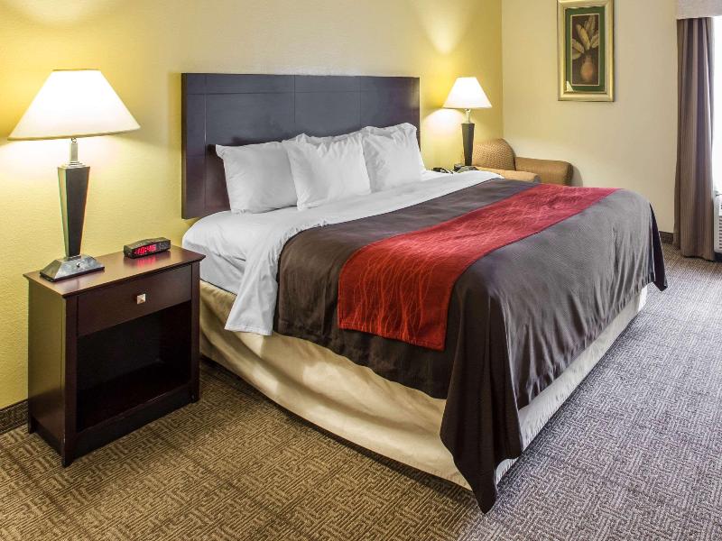 Comfort Inn & Suites Thomson Area image