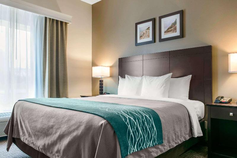 Comfort Inn & Suites Near Indiana Dunes State Park image