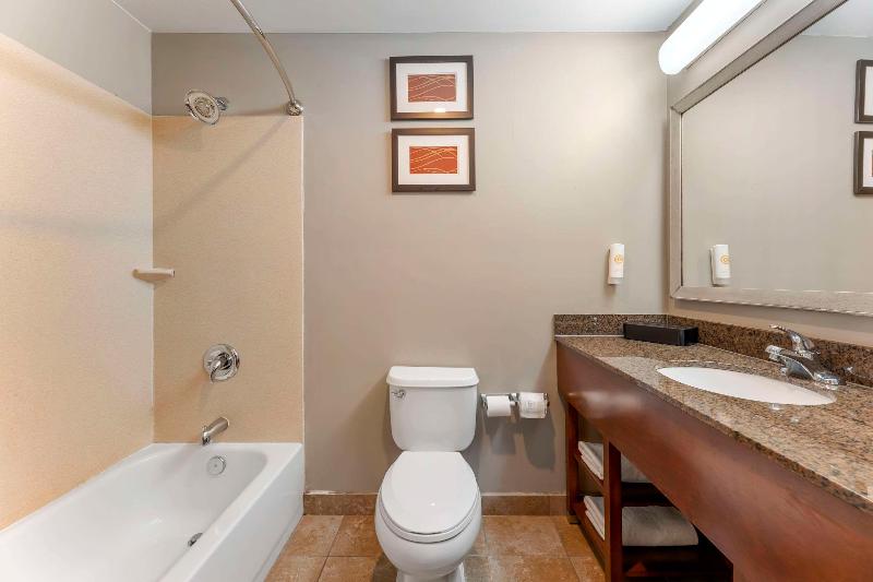 Comfort Inn & Suites Near Indiana Dunes State Park image