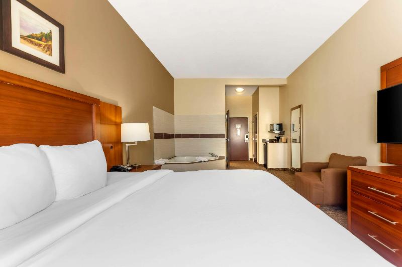 Comfort Inn & Suites Near Indiana Dunes State Park image