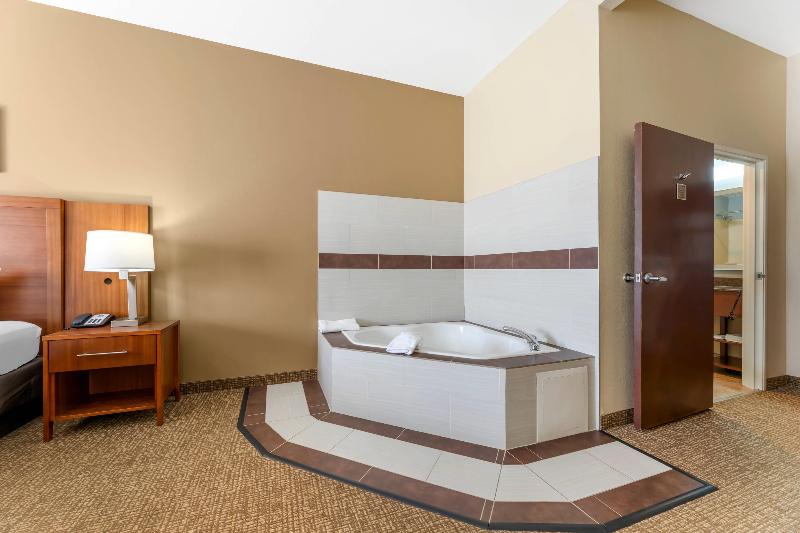 Comfort Inn & Suites Near Indiana Dunes State Park image