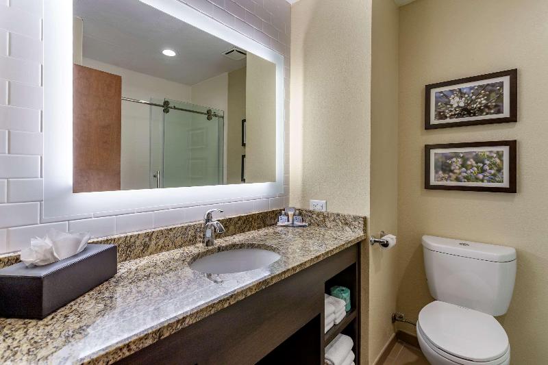 Comfort Inn St. Robert/Fort Leonard Wood image