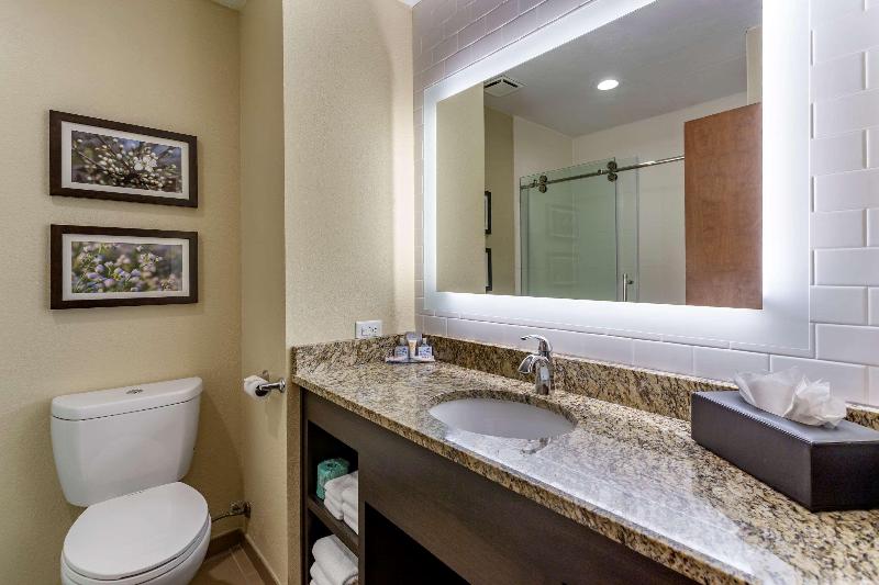 Comfort Inn St. Robert/Fort Leonard Wood image