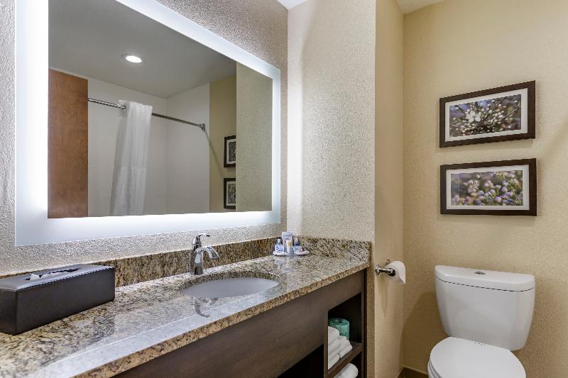 Comfort Inn St. Robert/Fort Leonard Wood image