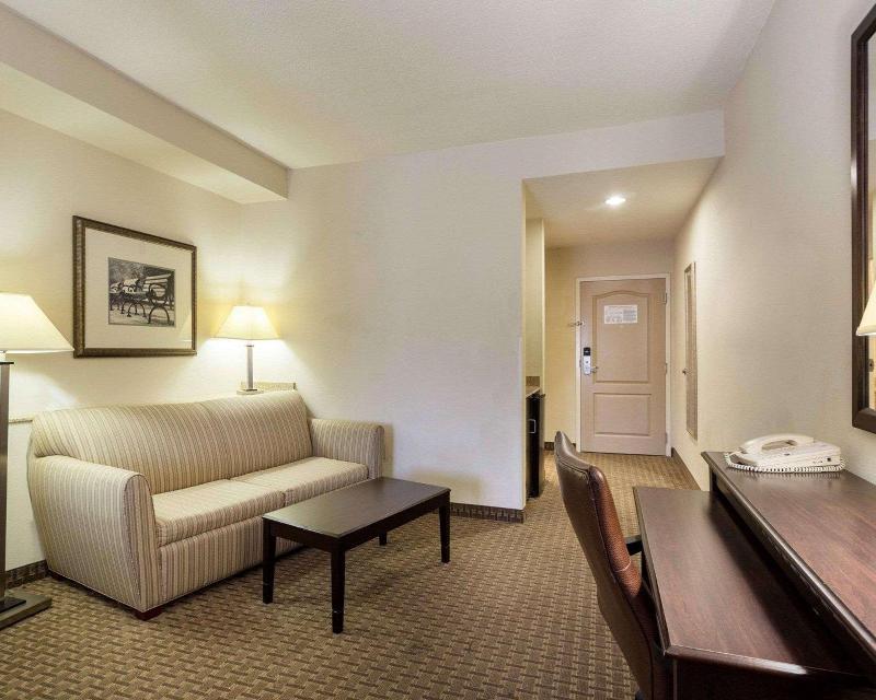 Comfort Suites Olive Branch West image