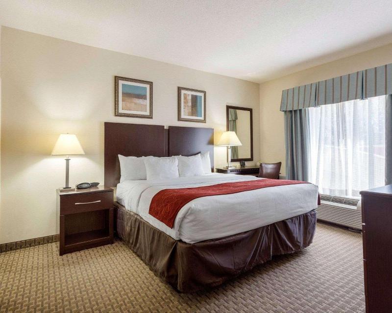 Comfort Suites Olive Branch West image