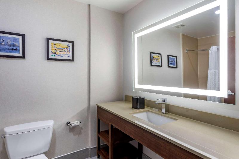 Comfort Suites Olive Branch West image