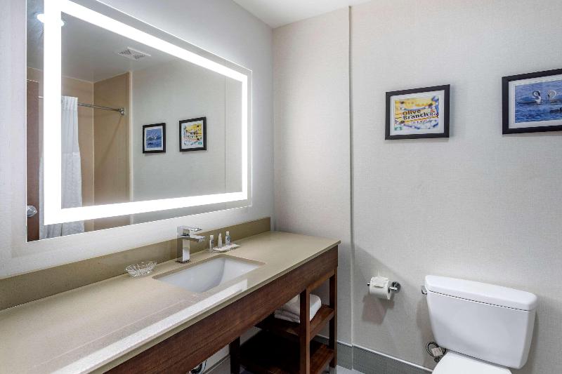 Comfort Suites Olive Branch West image