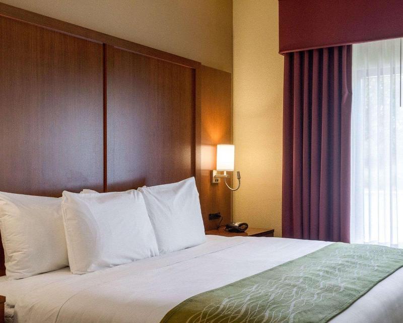 Comfort Suites Starkville image