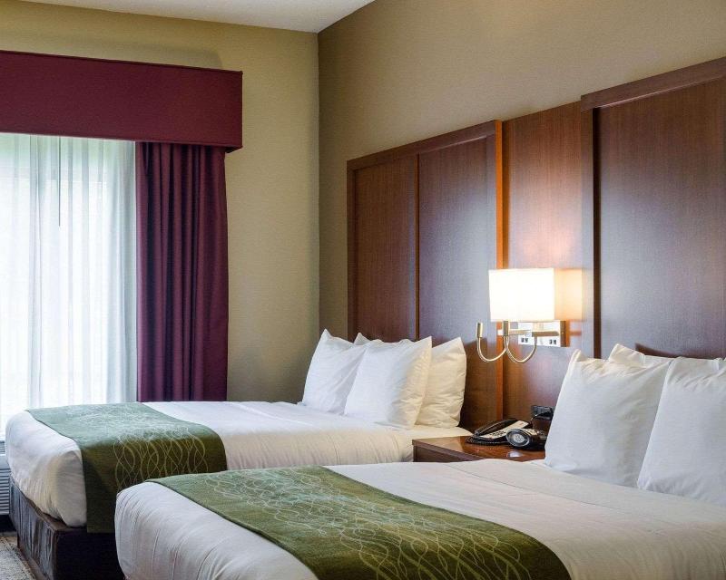 Comfort Suites Starkville image