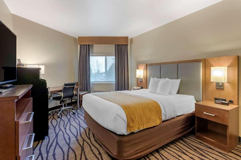 Comfort Inn & Suites Market - Airport image