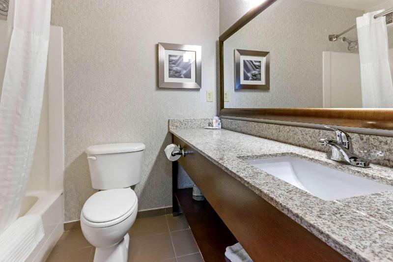 Comfort Inn & Suites Market - Airport image
