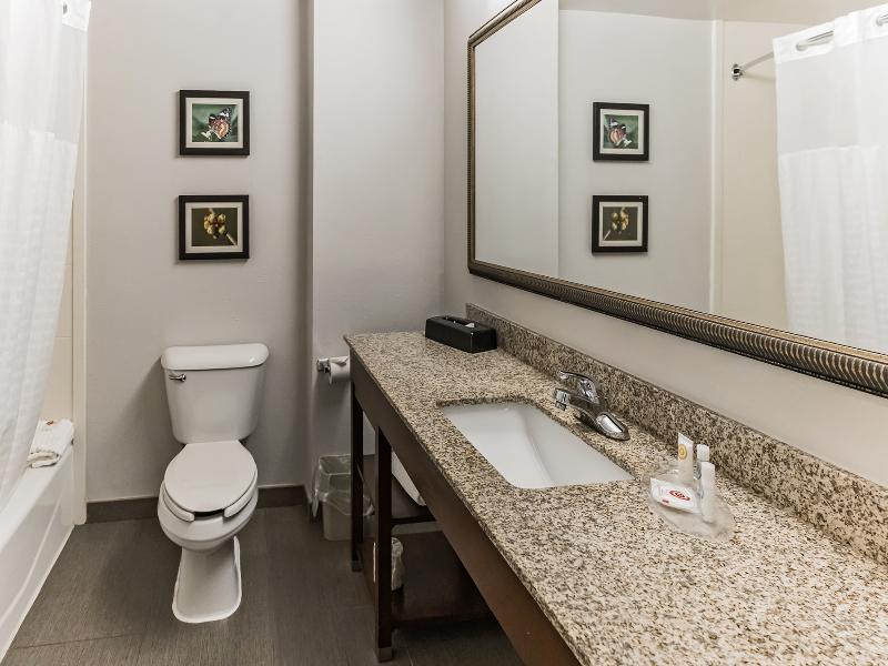 Comfort Suites Salisbury I-85 image