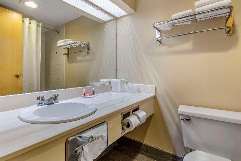 Econo Lodge & Suites Southern Pines image