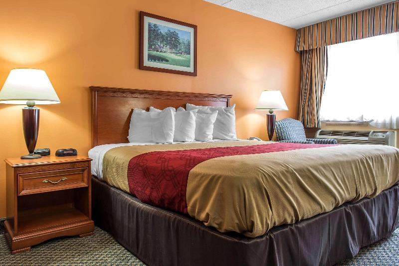 Econo Lodge & Suites Southern Pines image