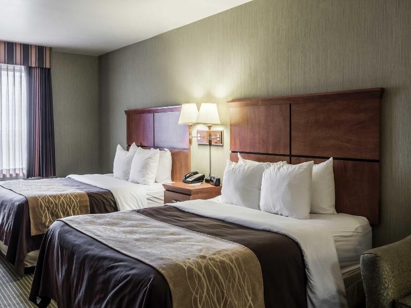 Comfort Inn & Suites Mitchell I-90 image
