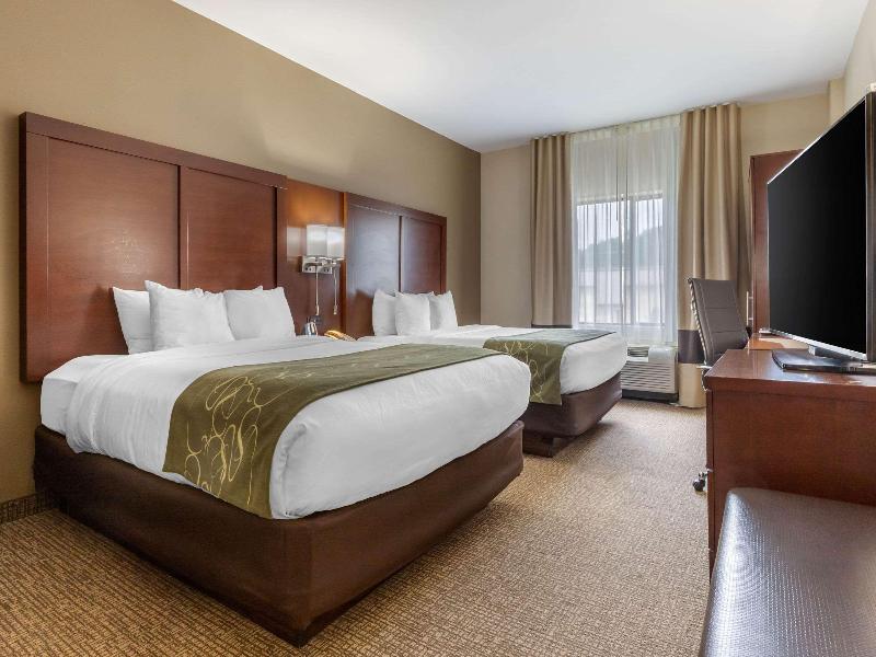 Comfort Suites Johnson City near University image