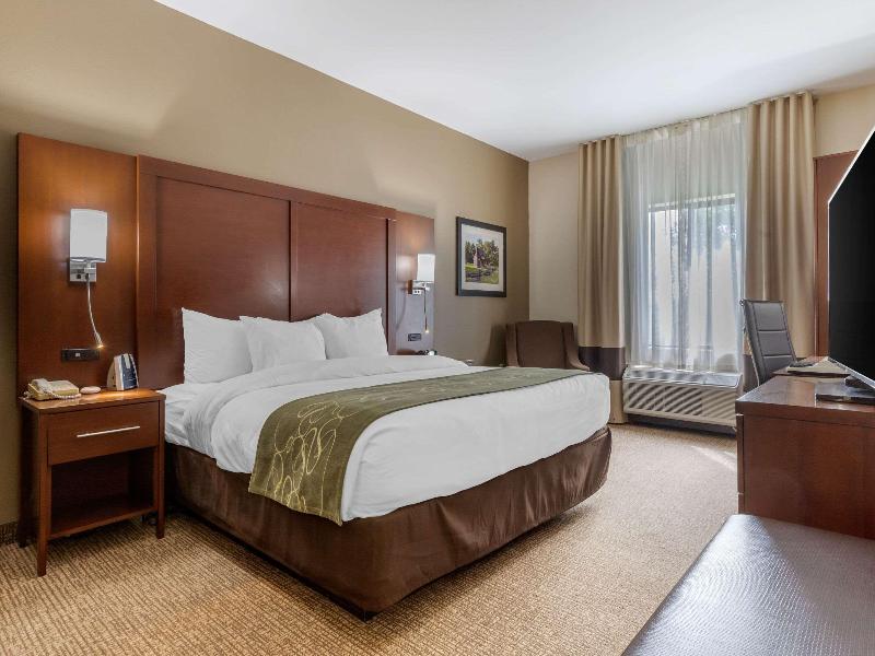Comfort Suites Johnson City near University image