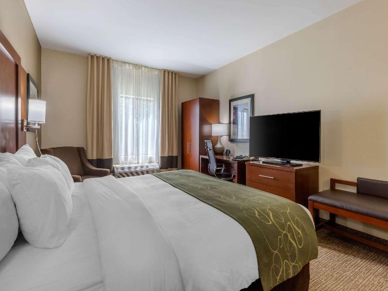 Comfort Suites Johnson City near University image