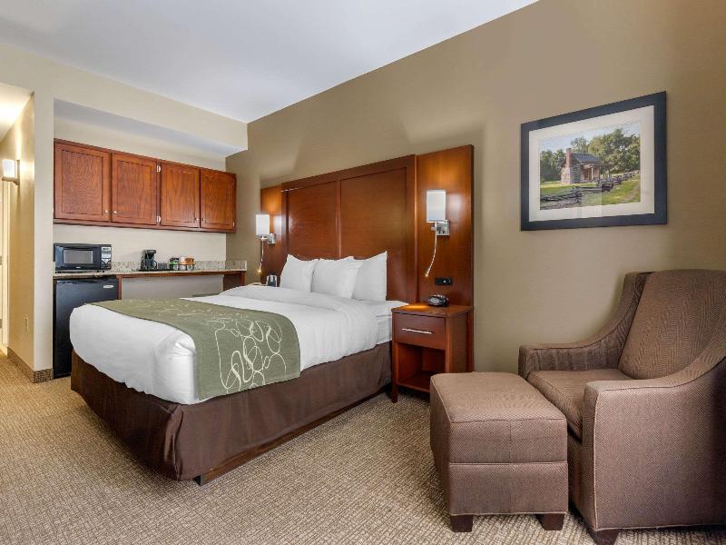 Comfort Suites Johnson City near University image