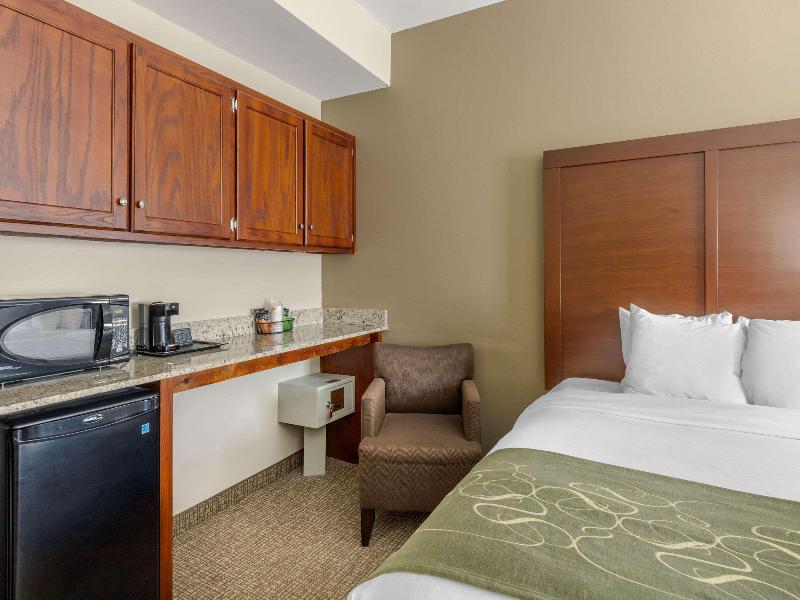 Comfort Suites Johnson City near University image