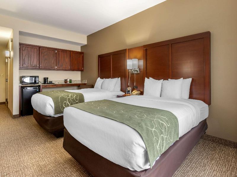 Comfort Suites Johnson City near University image
