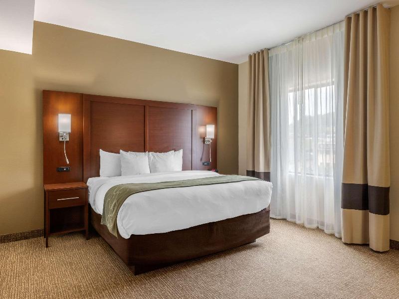 Comfort Suites Johnson City near University image