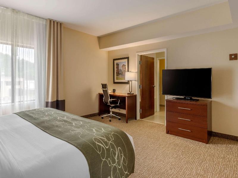 Comfort Suites Johnson City near University image
