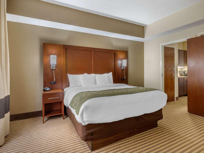 Comfort Suites Johnson City near University image