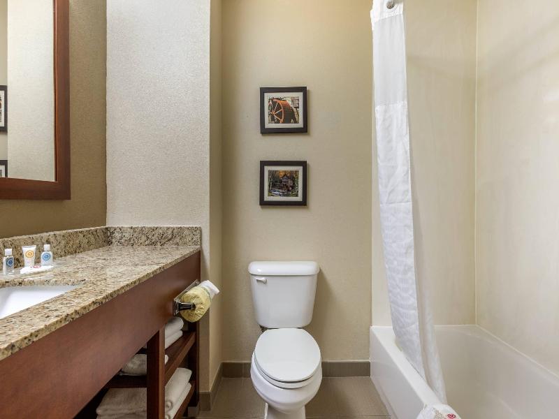 Comfort Suites Johnson City near University image