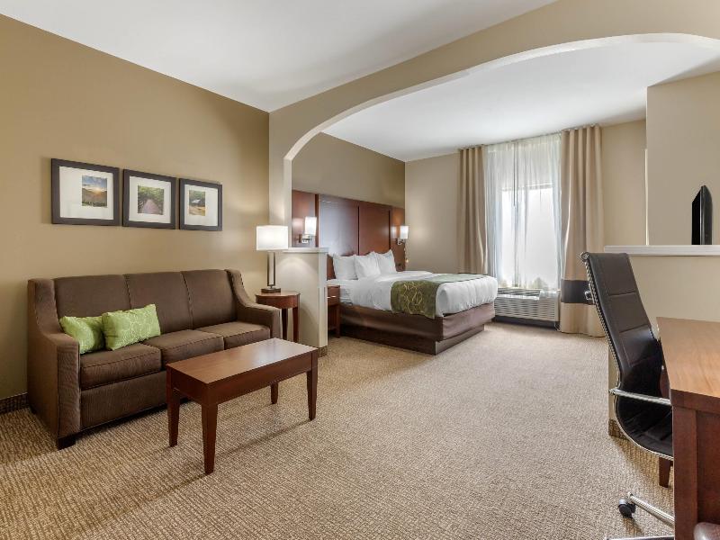 Comfort Suites Johnson City near University image
