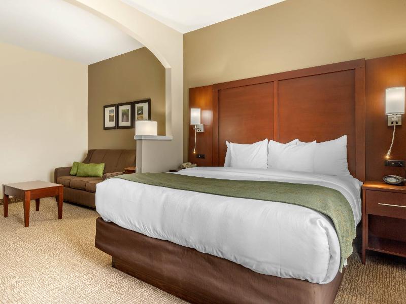Comfort Suites Johnson City near University image