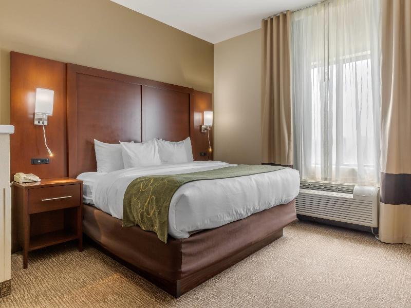 Comfort Suites Johnson City near University image