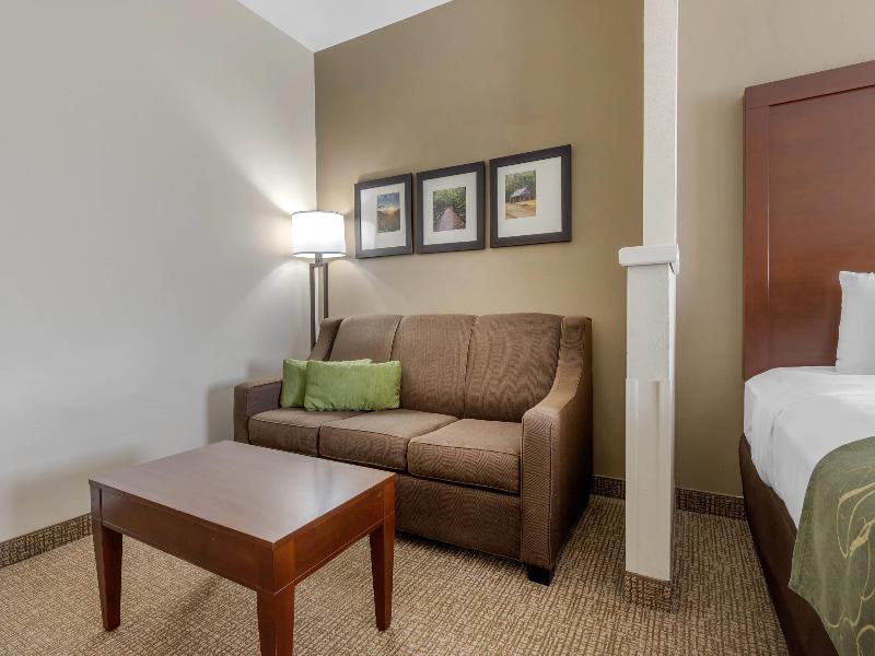 Comfort Suites Johnson City near University image