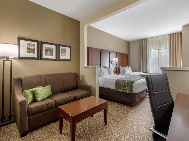 Comfort Suites Johnson City near University image