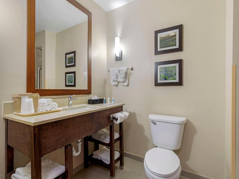 Comfort Suites Fort Worth image