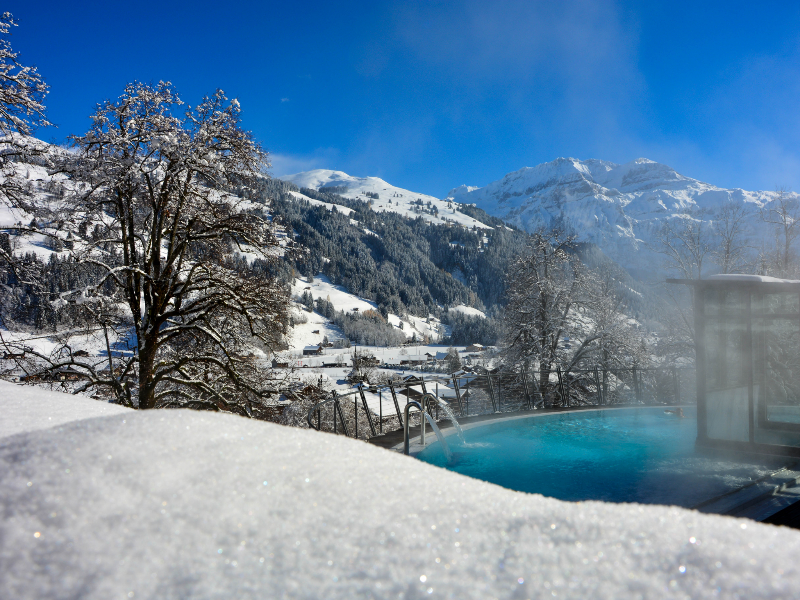 Lenkerhof Gourmet Spa Resort 2