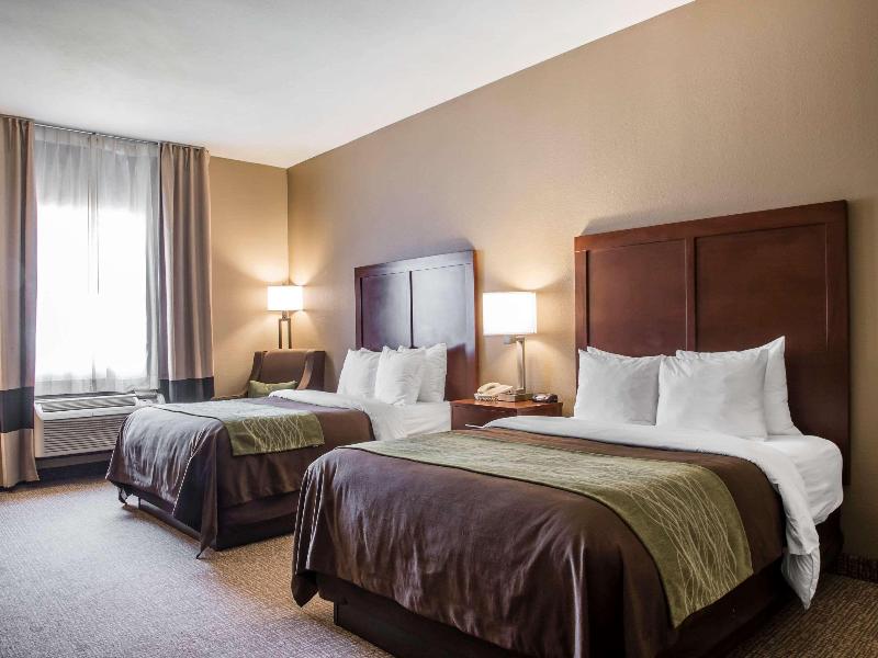 Comfort Inn Edinburg South image