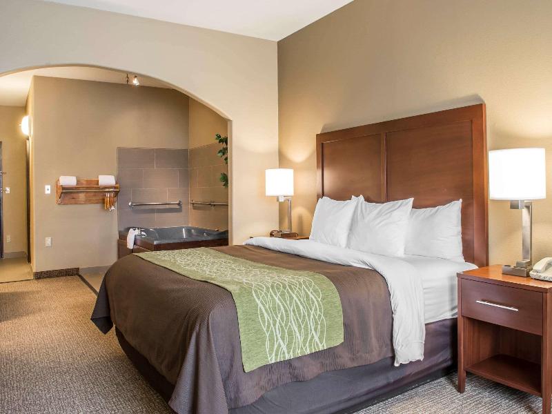 Comfort Inn Edinburg South image