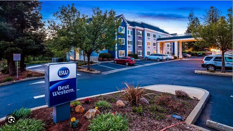 Best Western Paradise Hotel image