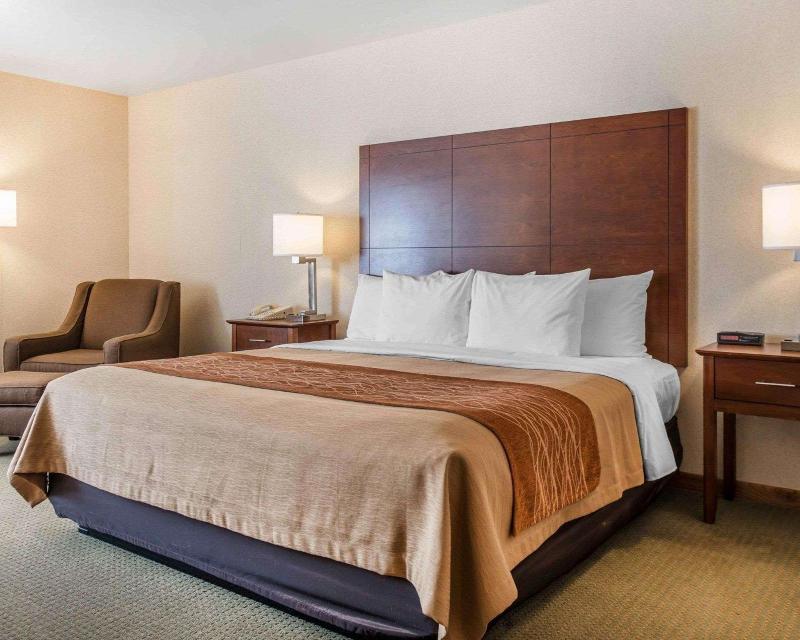 Comfort Inn Salida Area image